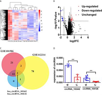 CircKEAP1 Suppresses the Progression of Lung Adenocarcinoma via the miR-141-3p/KEAP1/NRF2 Axis